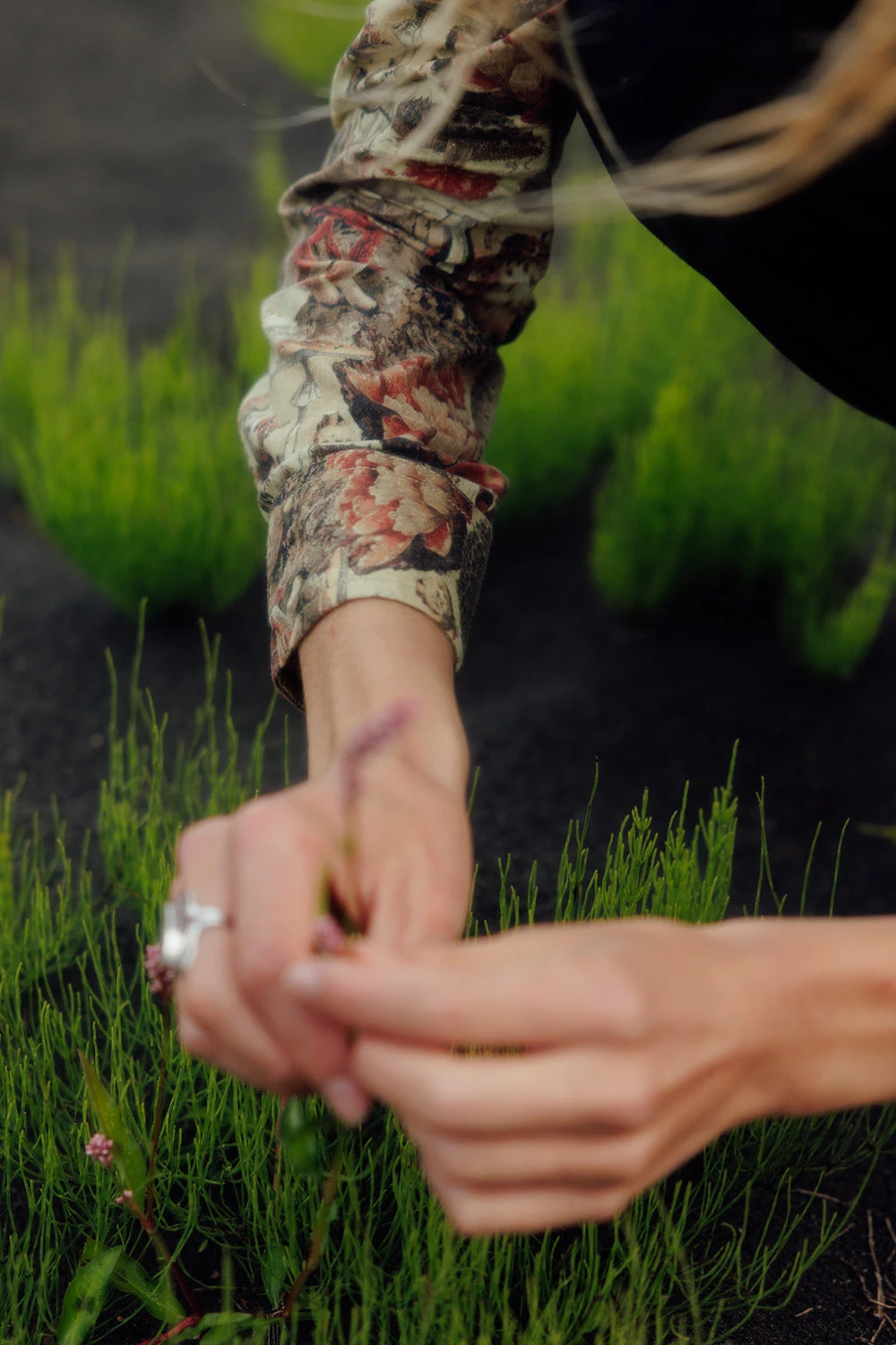 KAVU Barlow 6 KAVU Barlow - Image 4