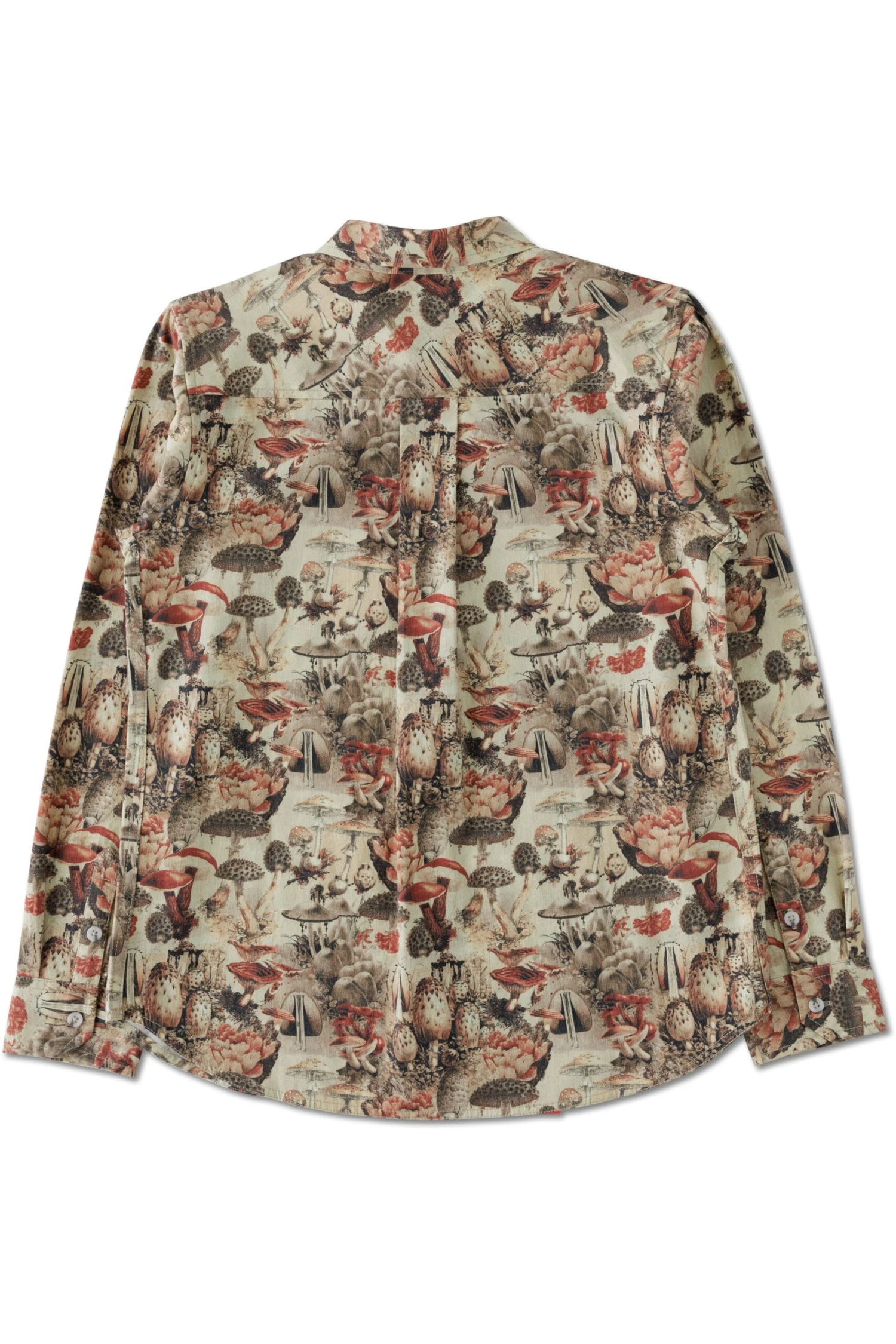 KAVU Barlow 4 KAVU Barlow - Image 2