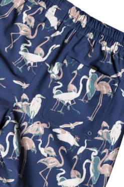 KAVU Costa Short 37 KAVU Costa Short -KAVU Sale Store 450 CRANECREW L4 2x3 26822969 b075 4dc2 9eb4 aa9d9df2e243