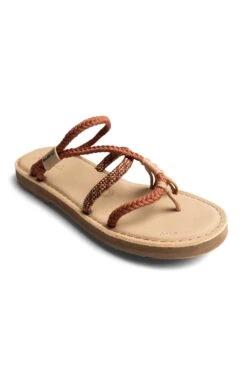 KAVU Horizon -KAVU Sale Store F002 CANYON L2 2x3 11abde9b 2e1f 4fa7 a275 f7ada8538436